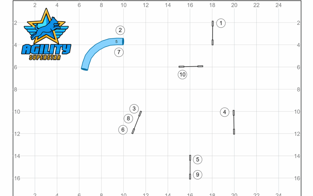 Atelier agility n°2 Entraîne toi avec nous