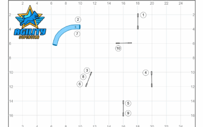 Atelier agility n°2 Entraîne toi avec nous