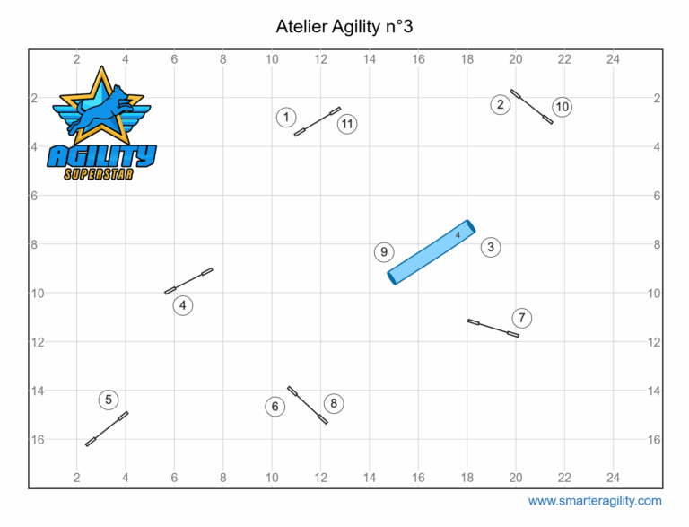 Atelier agility n°3 Entraîne toi avec nous