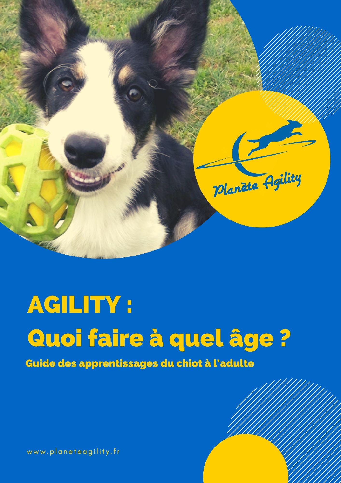 Guide : quoi faire à quel âge